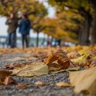 Herbstpromenade