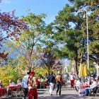 Herbstpromenade