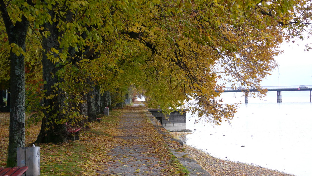 Herbstpromenade