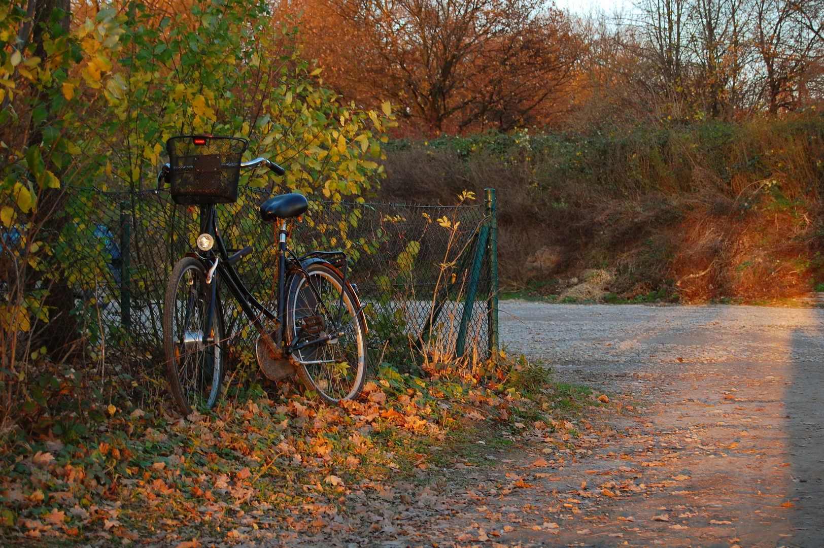 herbstradeln