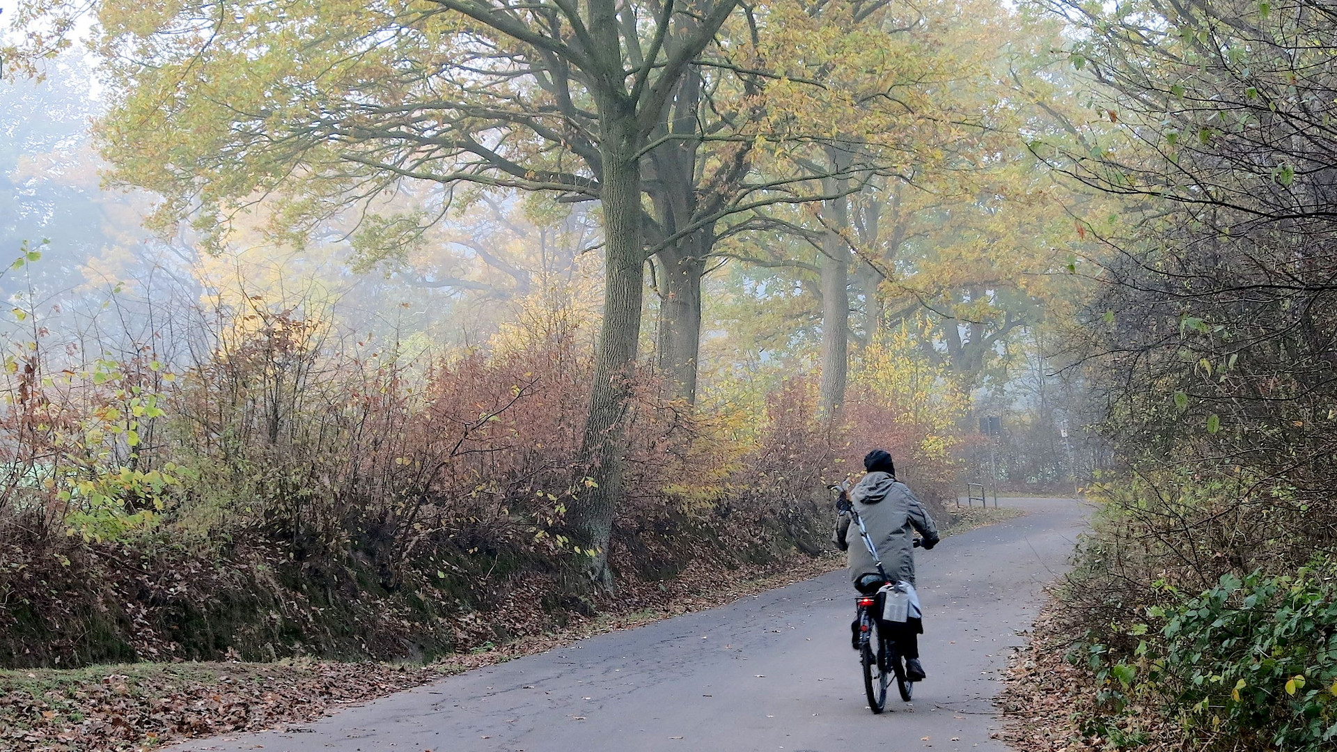 Herbstradler in Hummelsbüttel