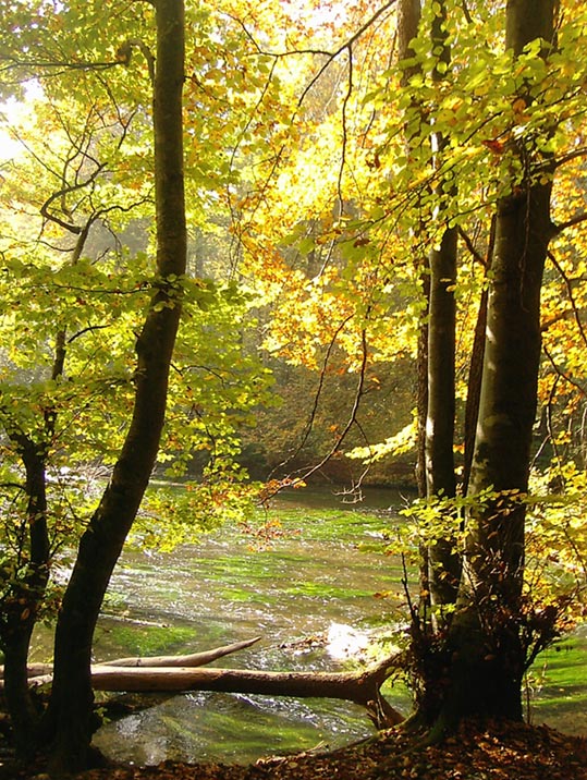 Herbstradtour durch das Mühlental