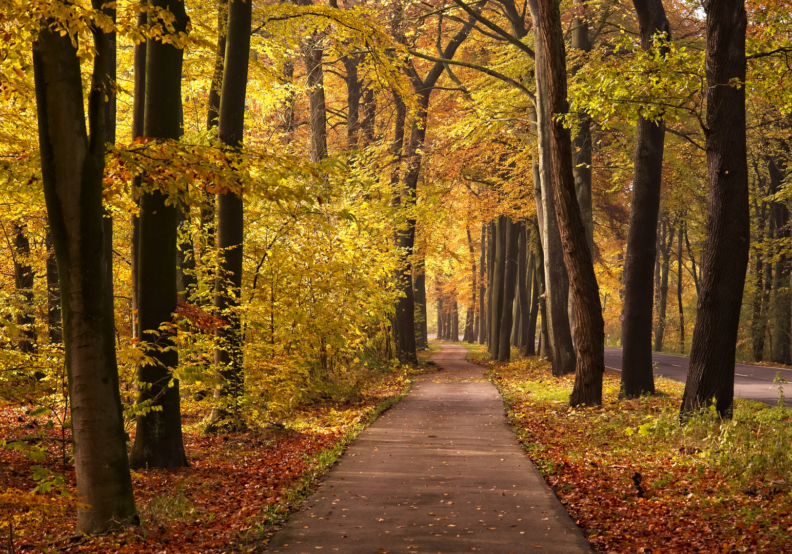 Herbstradweg