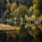 Herbstreflektion am Nonnemattweiher