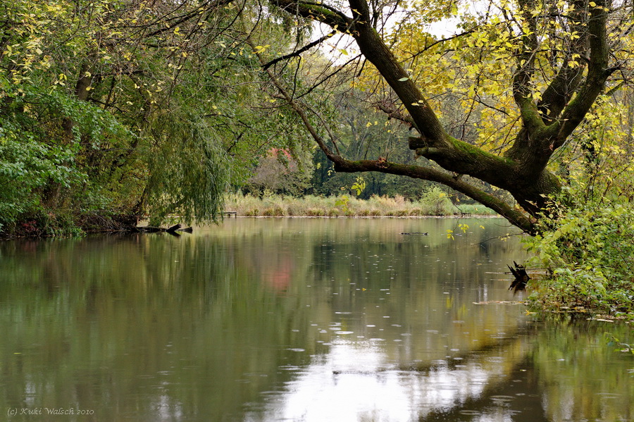 Herbst.Regen