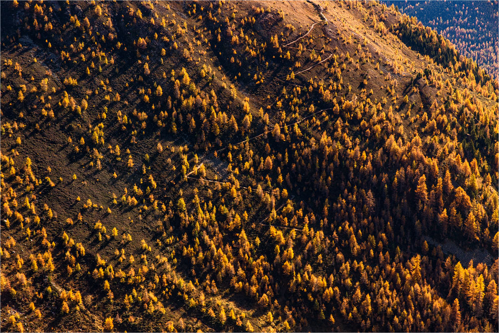 Herbstreigen am Schafberg