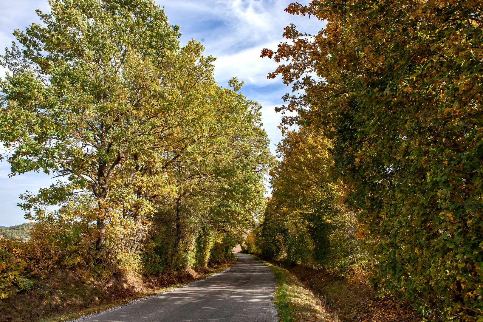 herbstroad