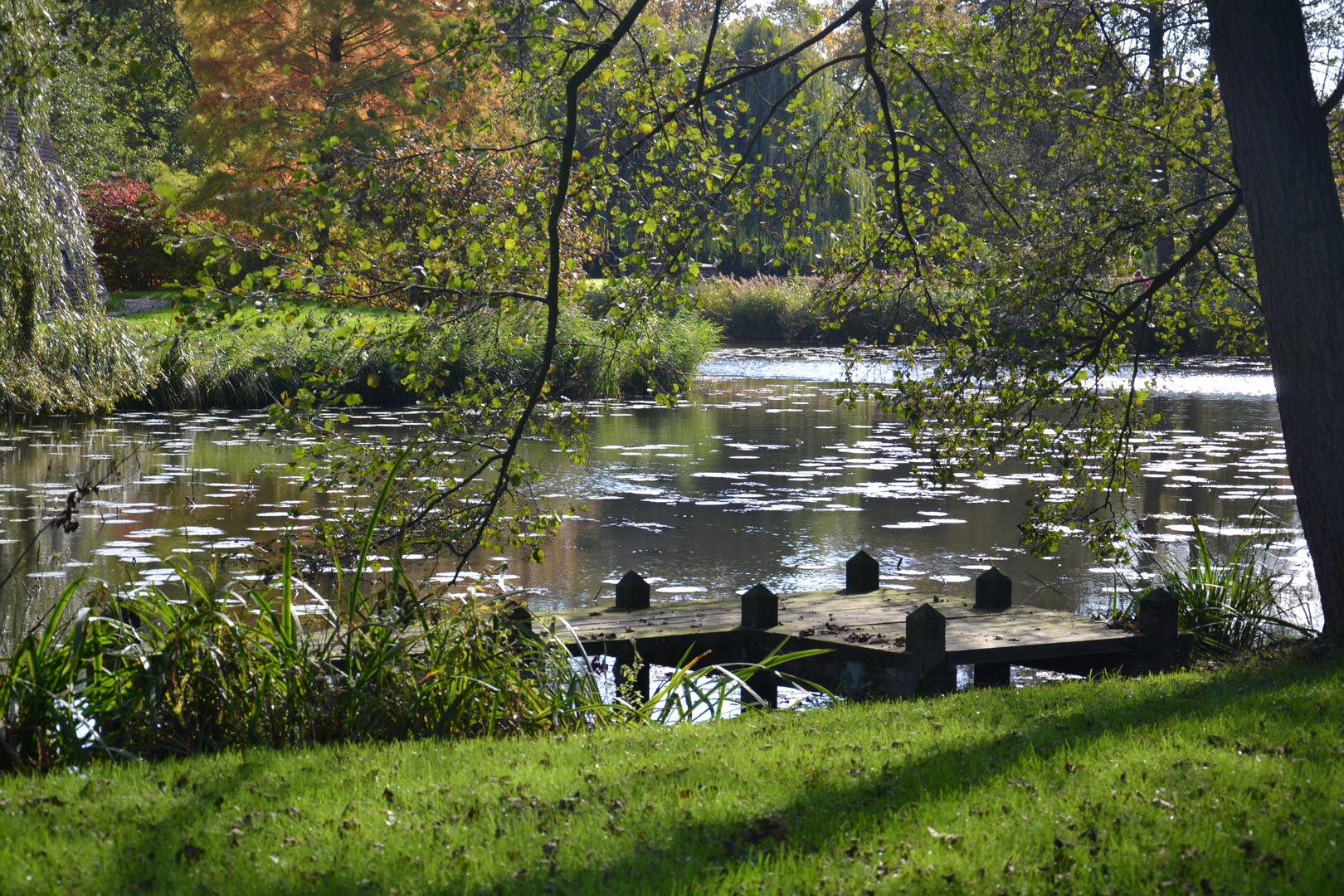 Herbstruhe