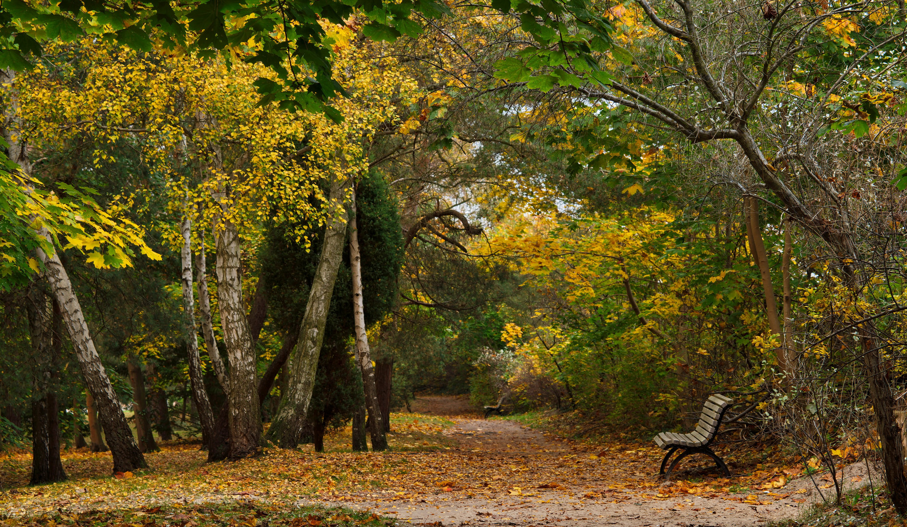 Herbstruhe ..