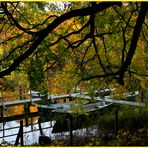 Herbstruhe             Dienstag ist Spiegeltag 02.11.2021