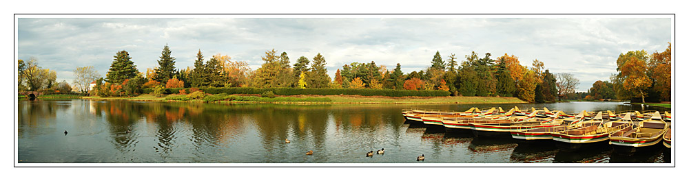 Herbstruhe in Wörlitz