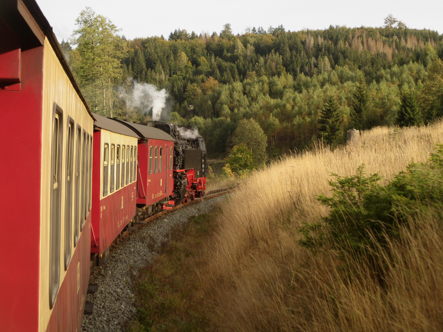 Herbstrunde mit der HSB zurück nach Nordhausen 1.