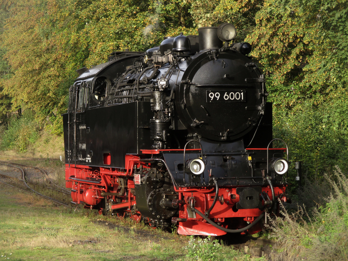 Herbstrunde mit der HSB zurück nach Nordhausen 3.