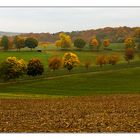 Herbstsachen [4] Bäume und Felder