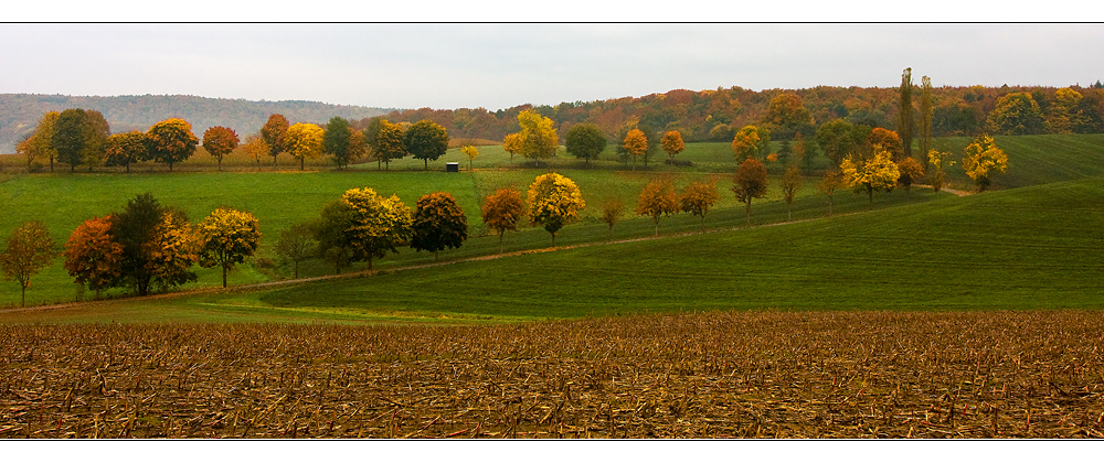 Herbstsachen [4] Bäume und Felder