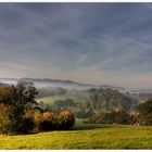 Herbstsachen [5] Kühe und Nebel