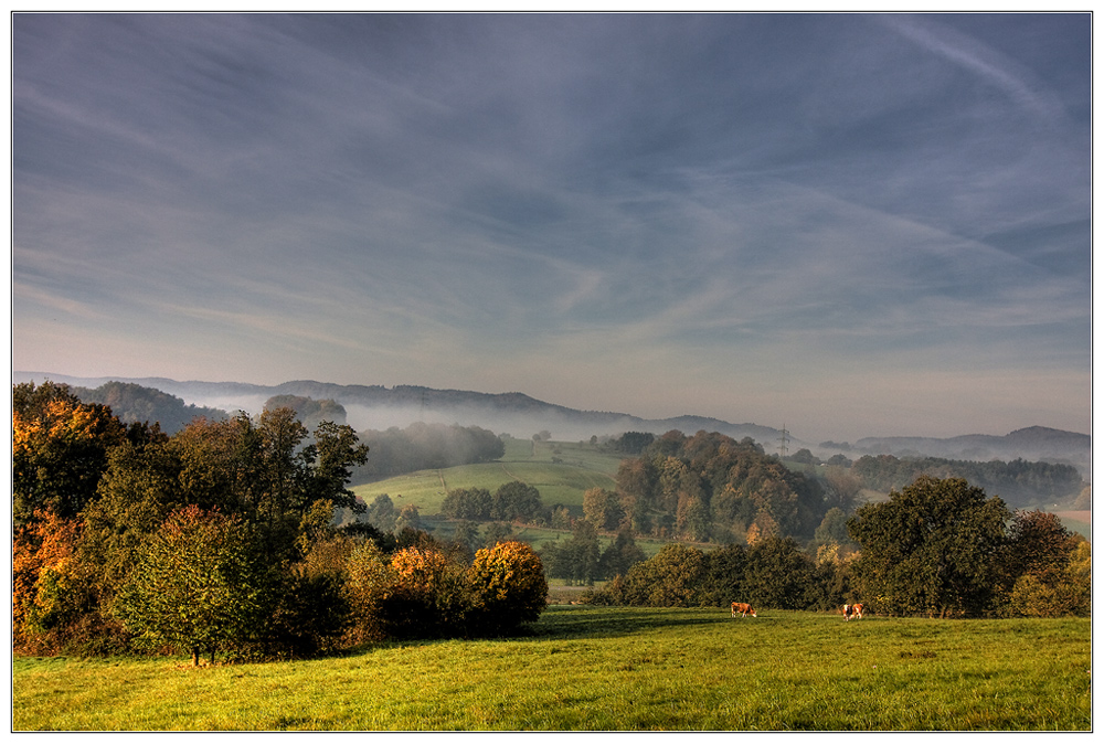 Herbstsachen [5] Kühe und Nebel