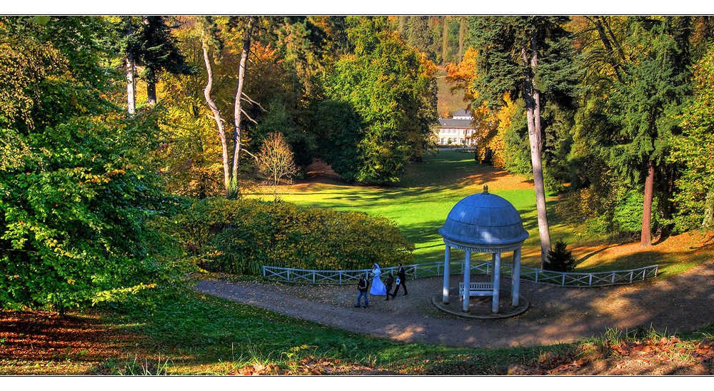 Herbstsachen [8] Weg ins Glück