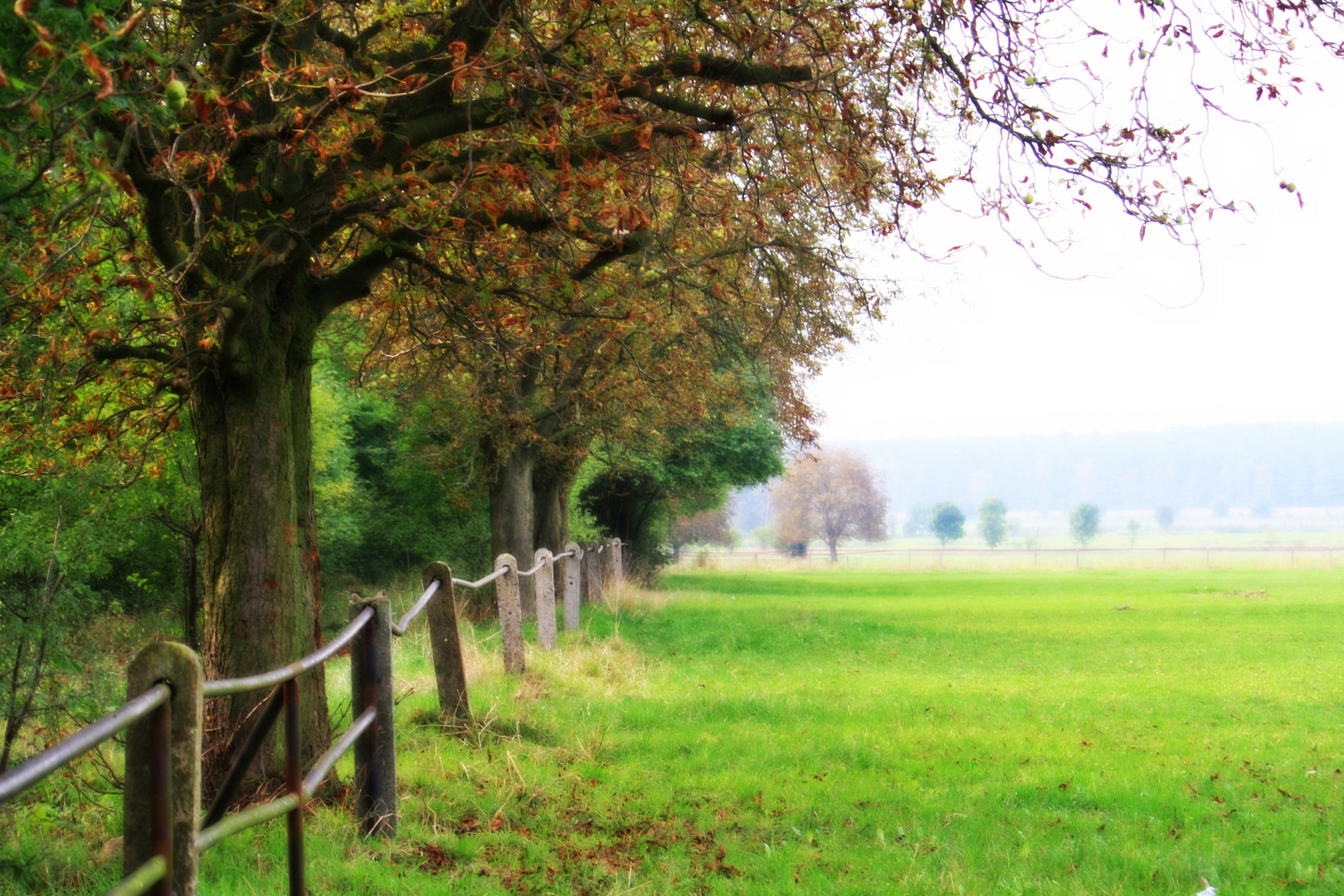 Herbstsanfang......