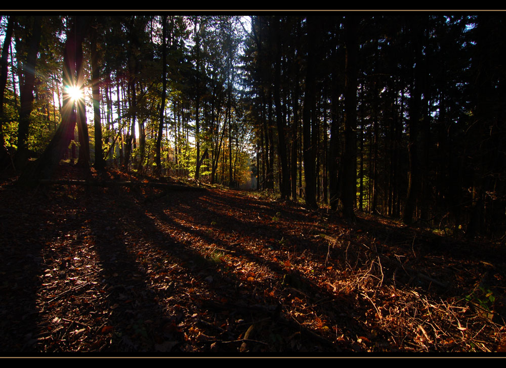 " Herbstschatten "