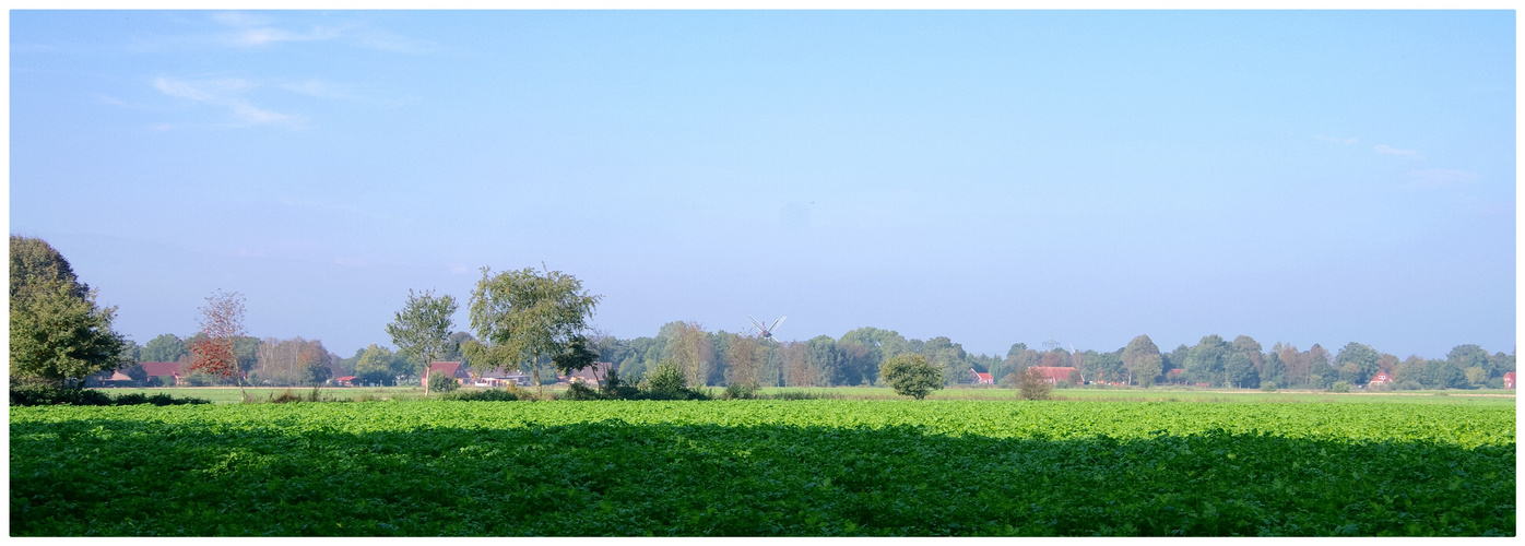 Herbstschatten