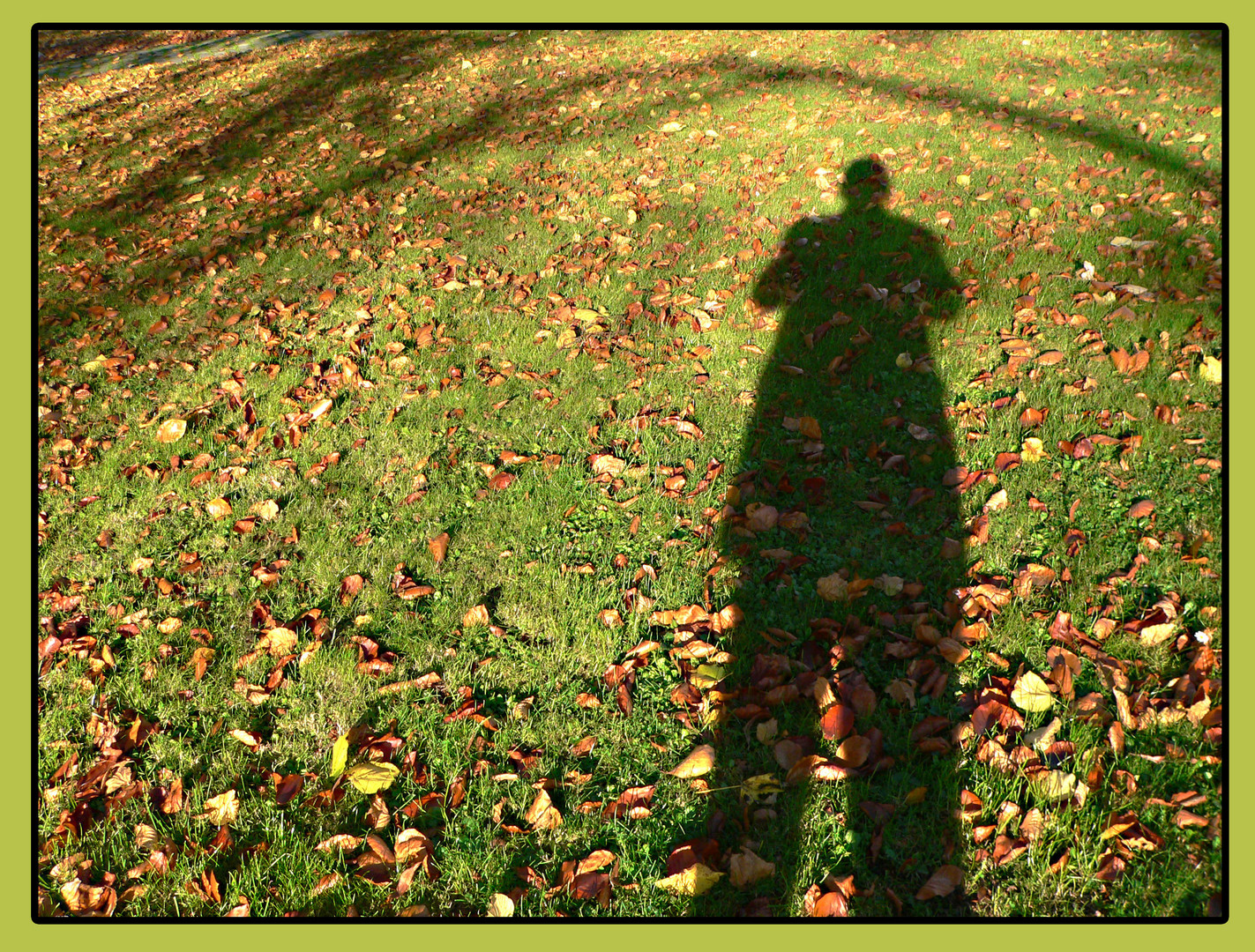 Herbstschatten