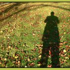 Herbstschatten