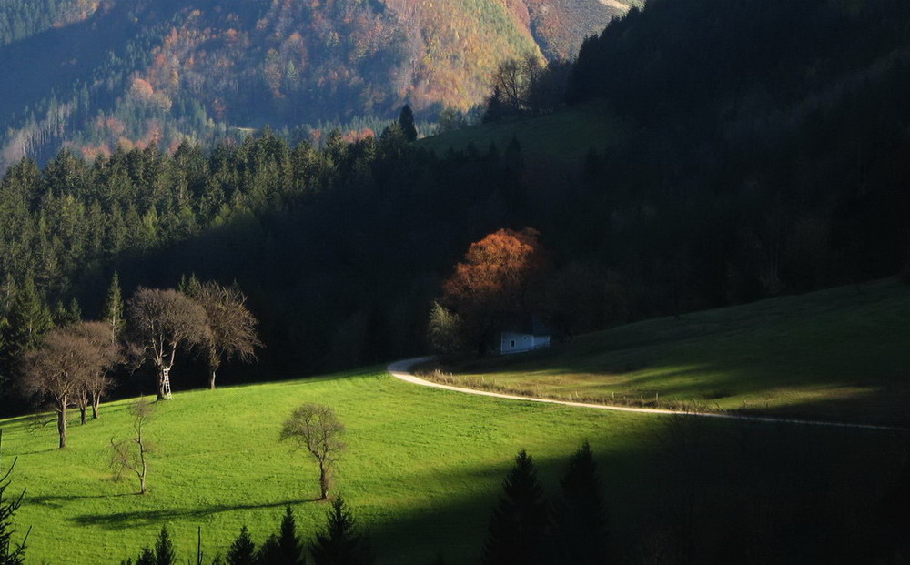 Herbstschatten