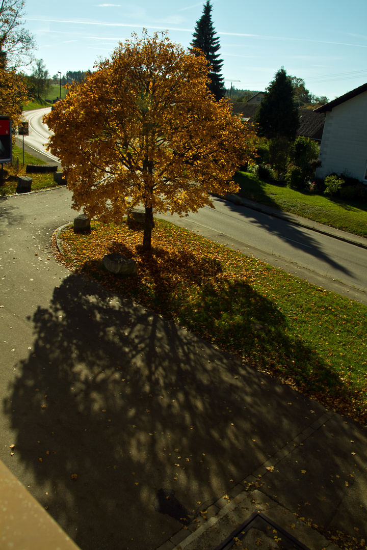 Herbstschatten