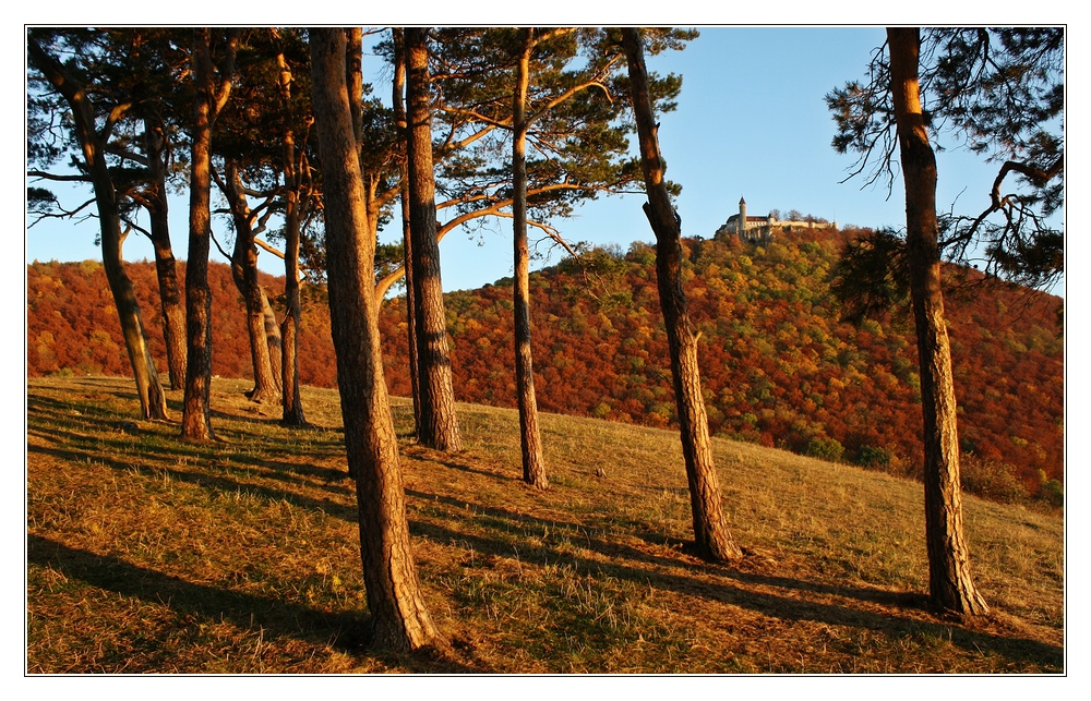 Herbstschatten...