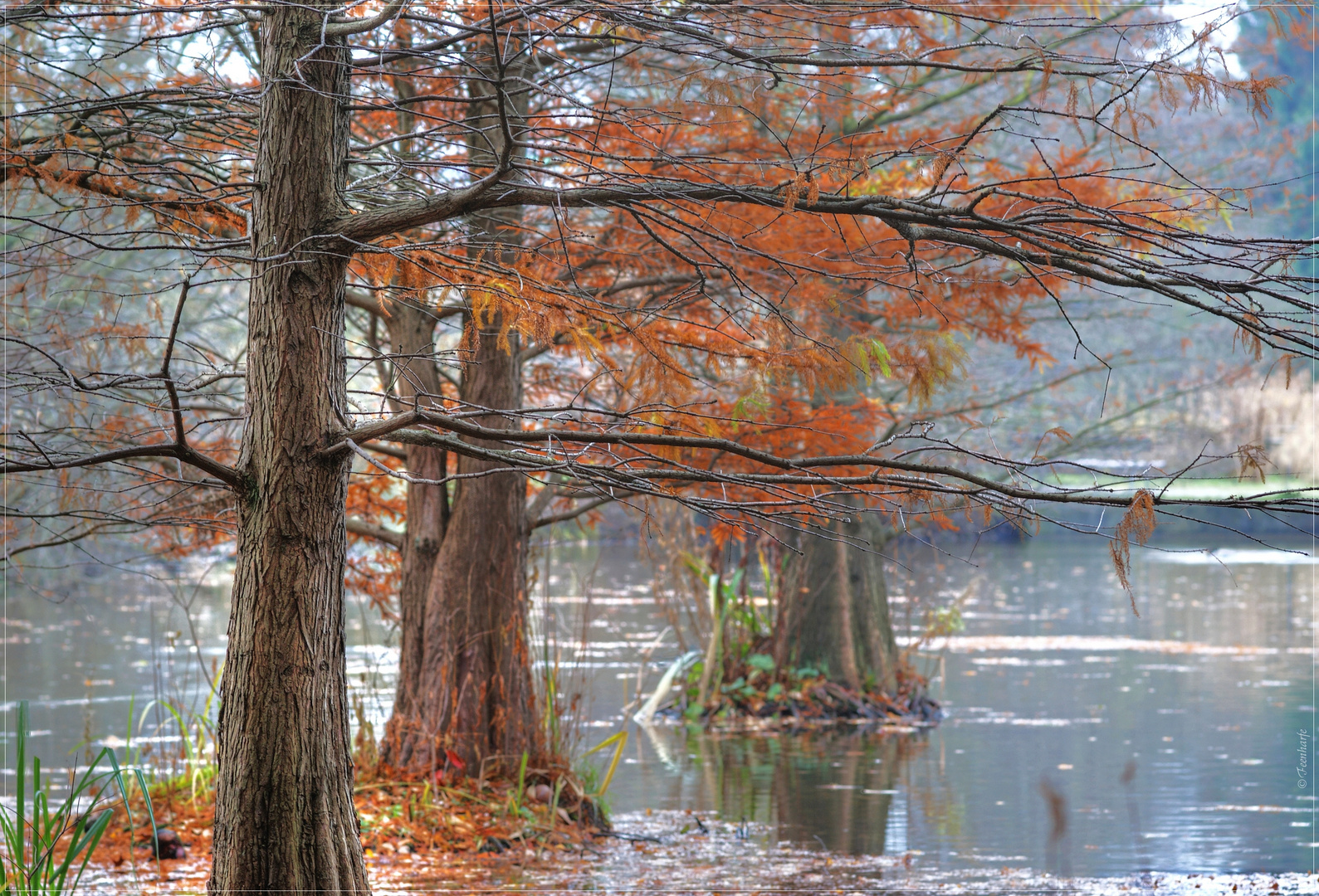 Herbstschau