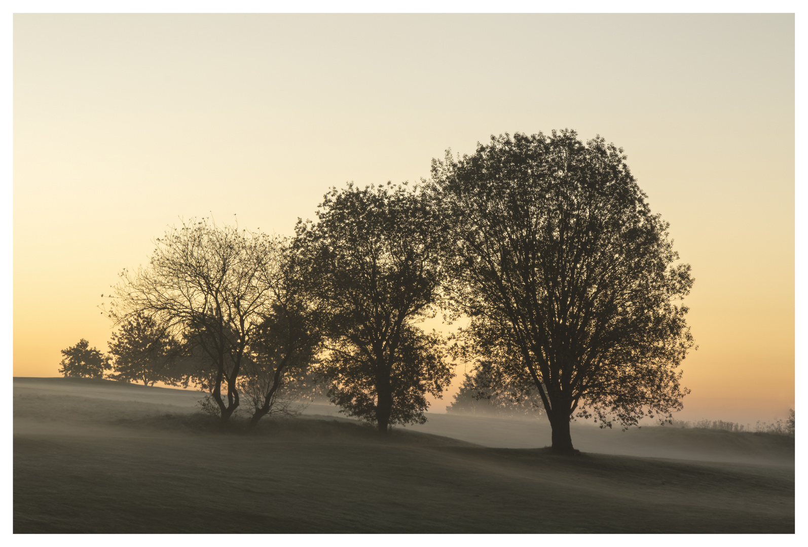 Herbstschleier