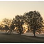 Herbstschleier