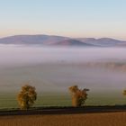 Herbstschleier