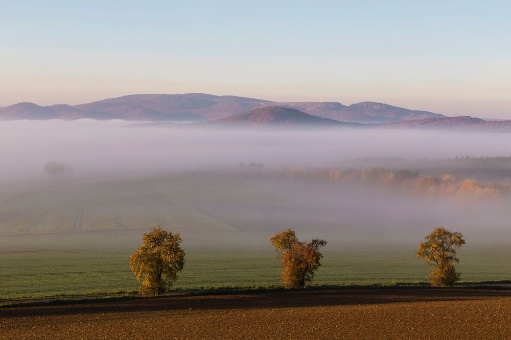 Herbstschleier