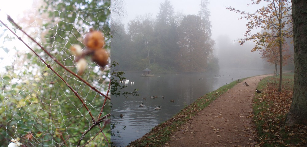 herbstschleier II