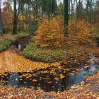 Herbstschleifchen