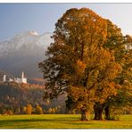 Herbstschloss