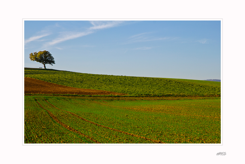 Herbstschlussverkauf