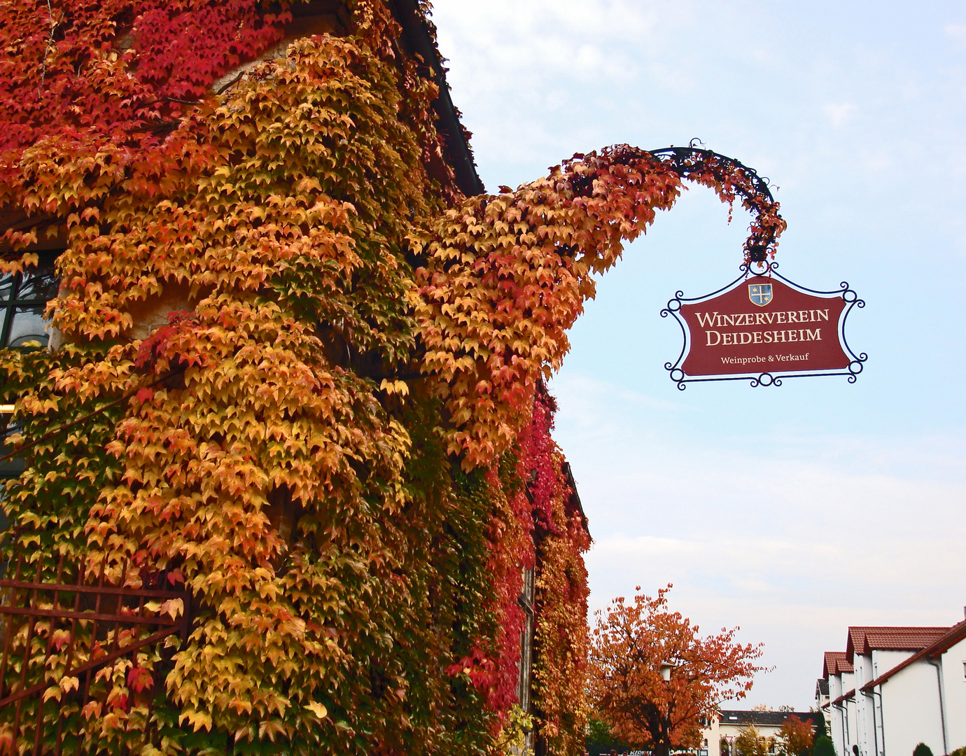 Herbstschmuck