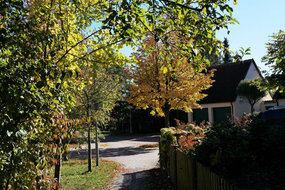 Herbstschmuck