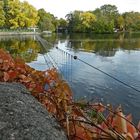 Herbstschmuck