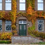 Herbstschmuck -2-