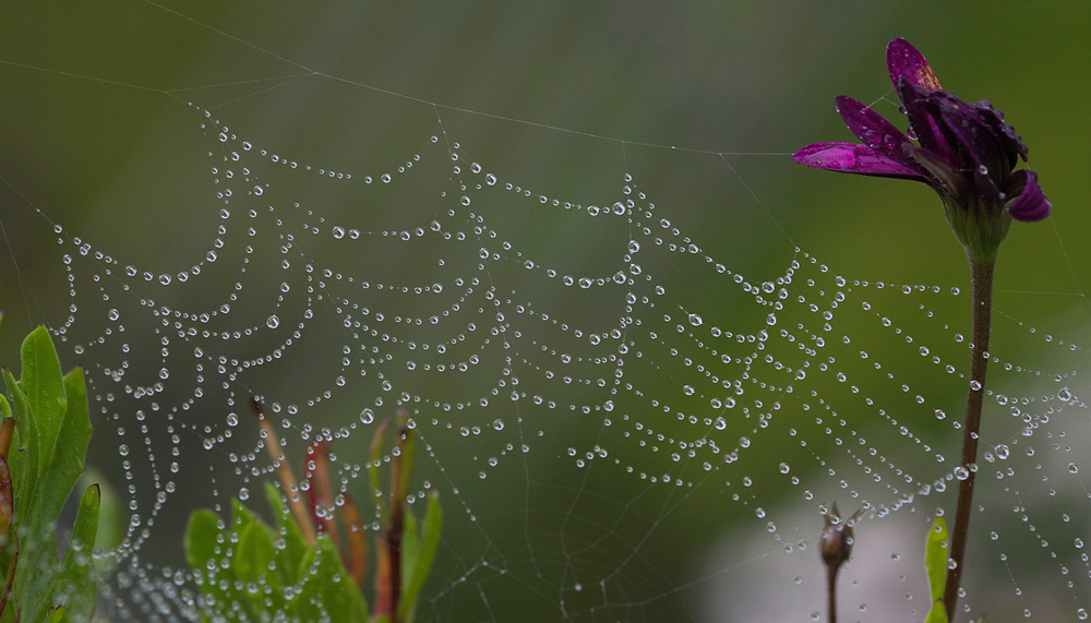 Herbstschmuck