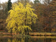 Herbstschmuck