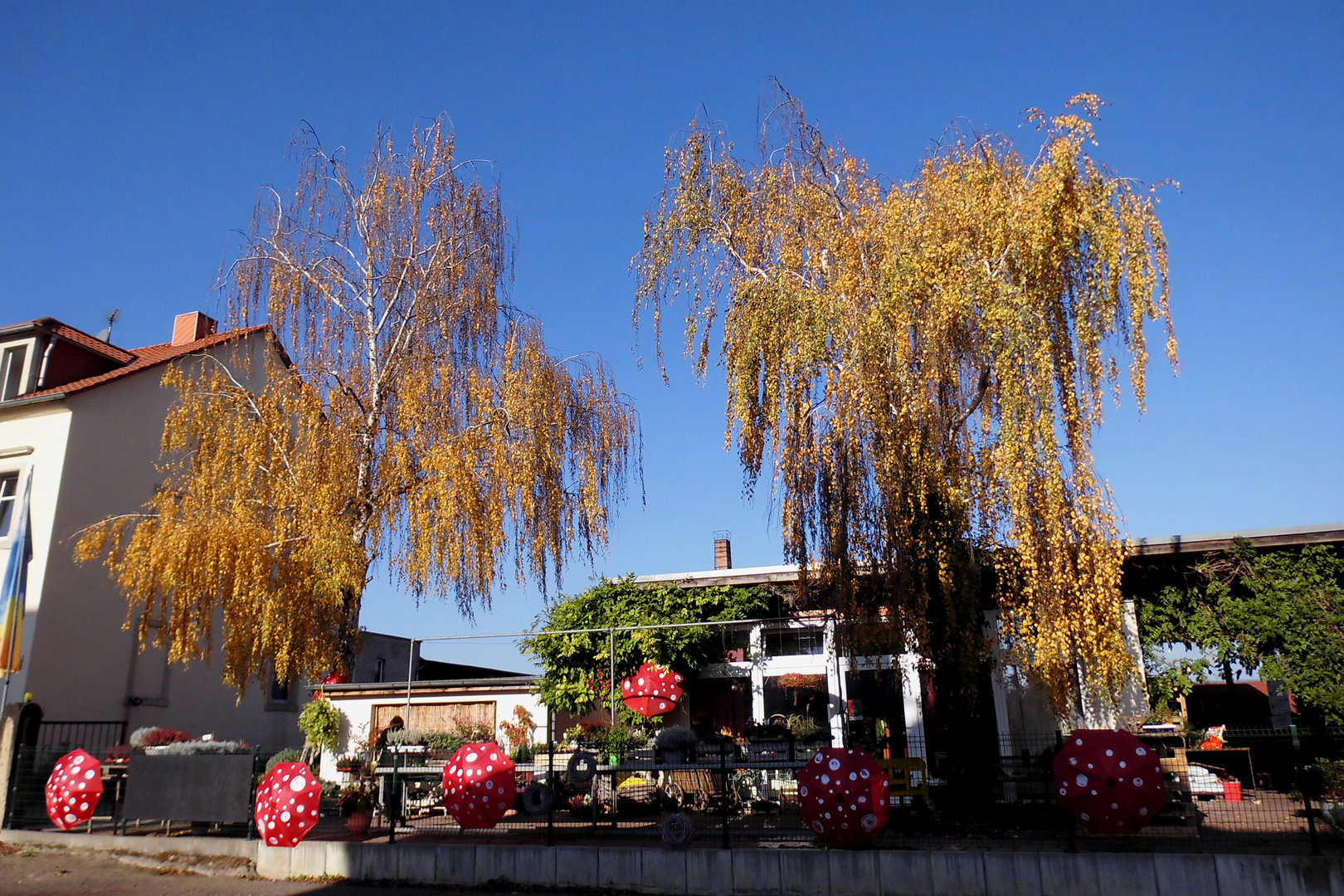 Herbstschmuck