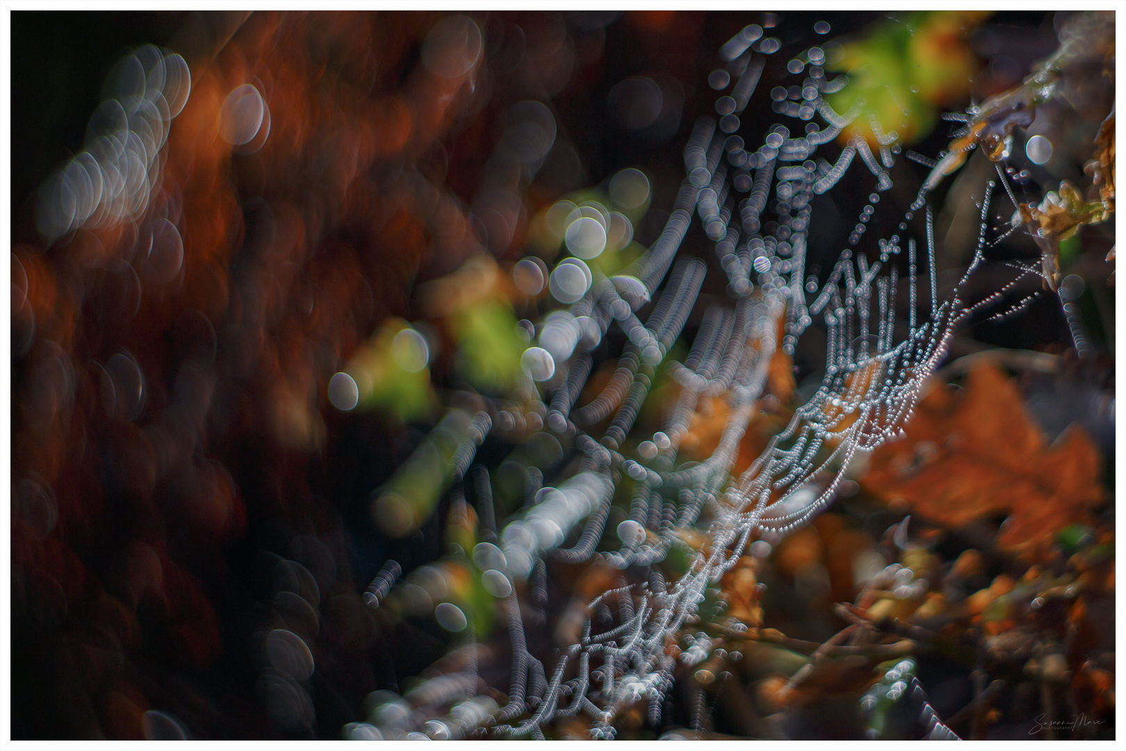 Herbstschmuck