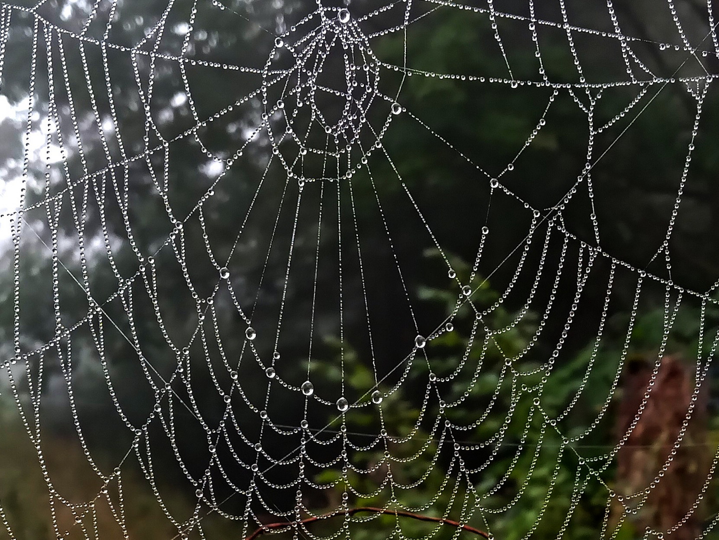 Herbstschmuck