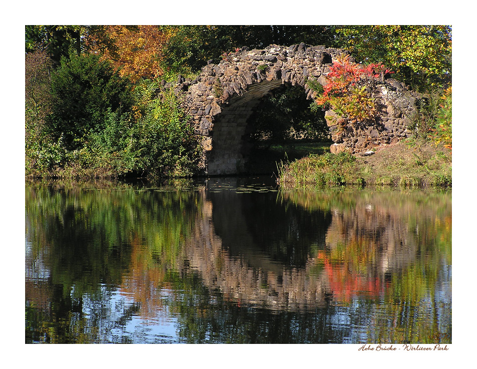 Herbstschmuck ... - Brücken im Wörlitzer Park (4)