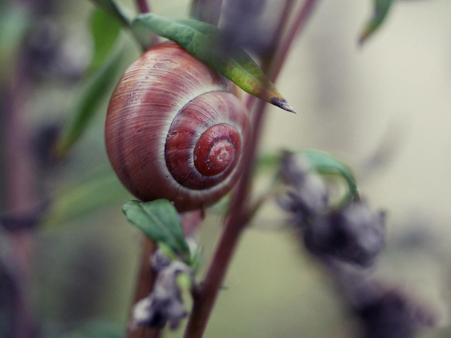 Herbstschmuck